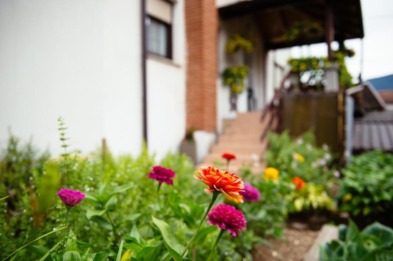 Apartment Sovdat Tolmin Exterior photo